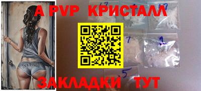 индика Будённовск
