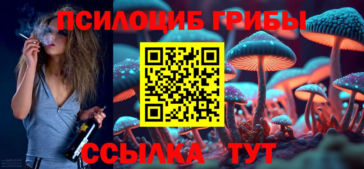Североморск  Галлюциногенные грибы Cubensis  Псилоцибиновые грибы Cubensis  Вход с VPN 
